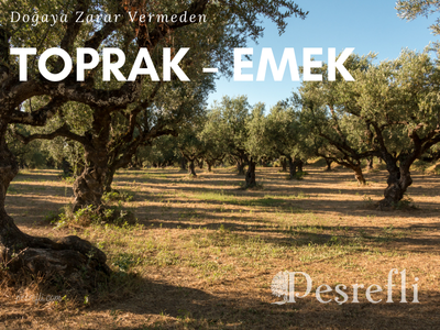 pesrefli-hakkimizda-2